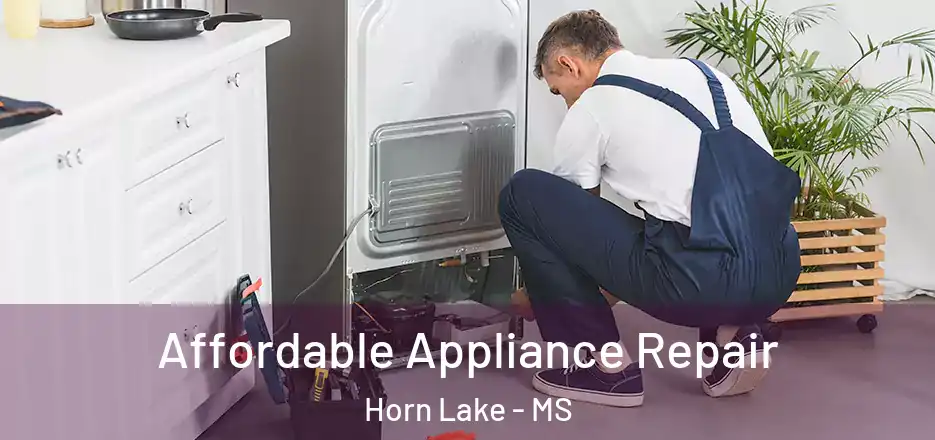 Affordable Appliance Repair Horn Lake - MS
