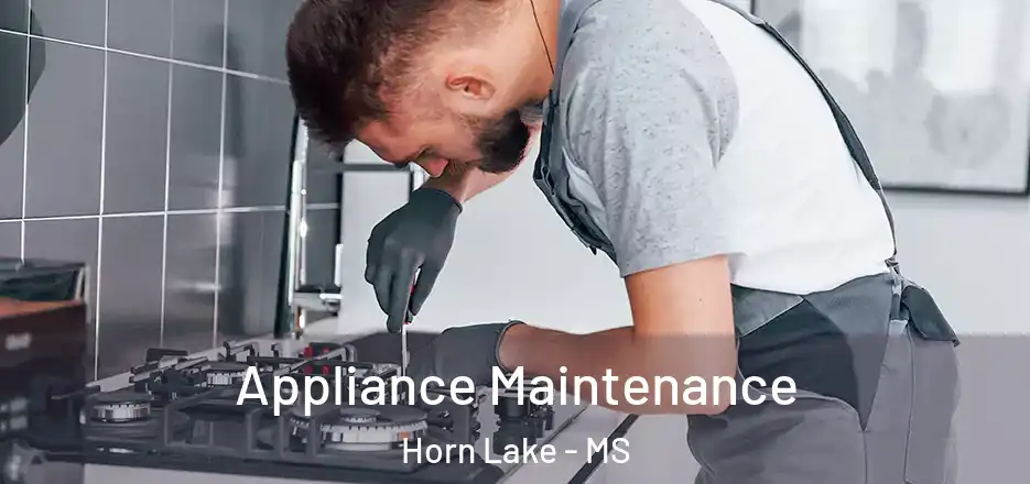 Appliance Maintenance Horn Lake - MS