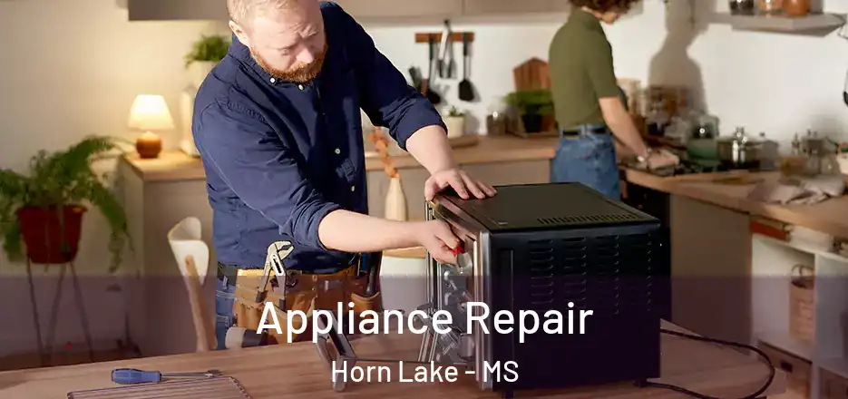 Appliance Repair Horn Lake - MS