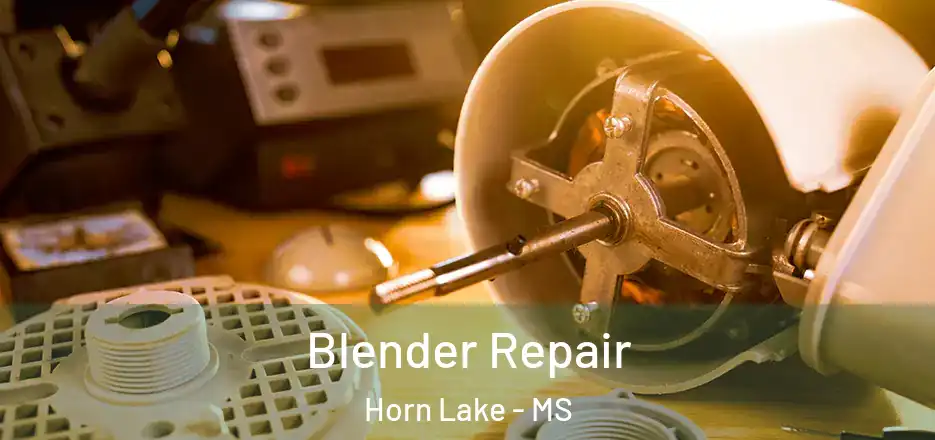 Blender Repair Horn Lake - MS