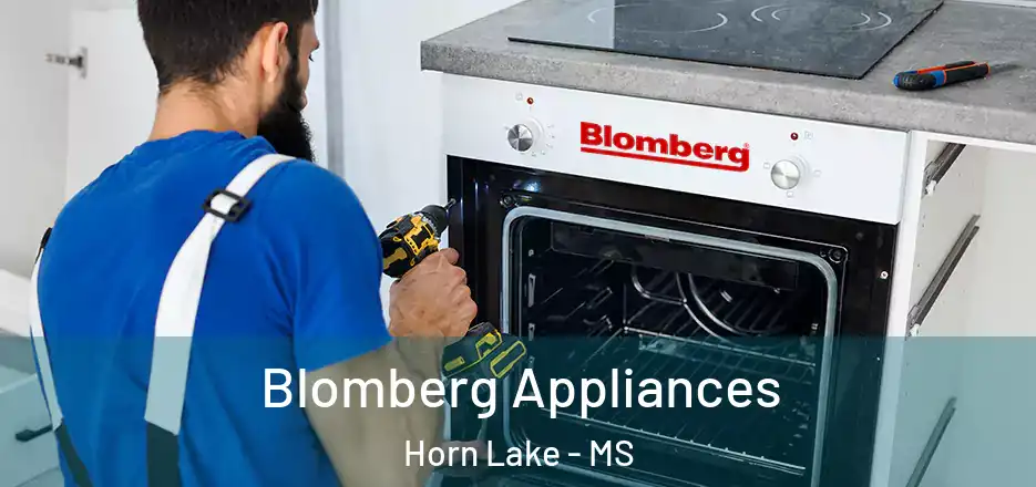 Blomberg Appliances Horn Lake - MS