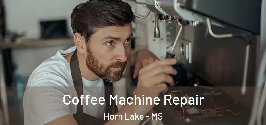 Coffee Machine Repair Horn Lake - MS