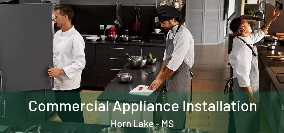 Commercial Appliance Installation Horn Lake - MS