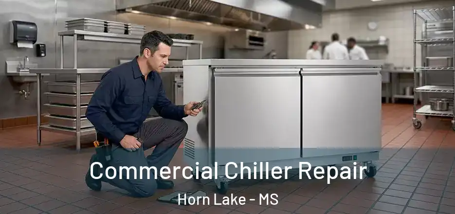 Commercial Chiller Repair Horn Lake - MS