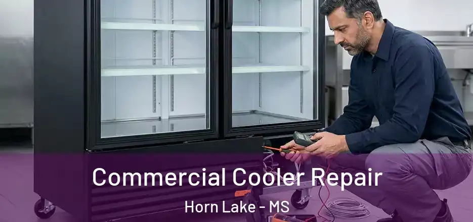 Commercial Cooler Repair Horn Lake - MS