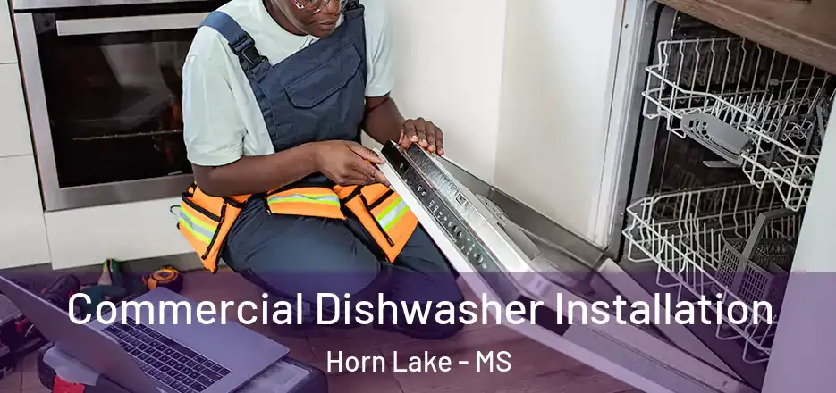 Commercial Dishwasher Installation Horn Lake - MS
