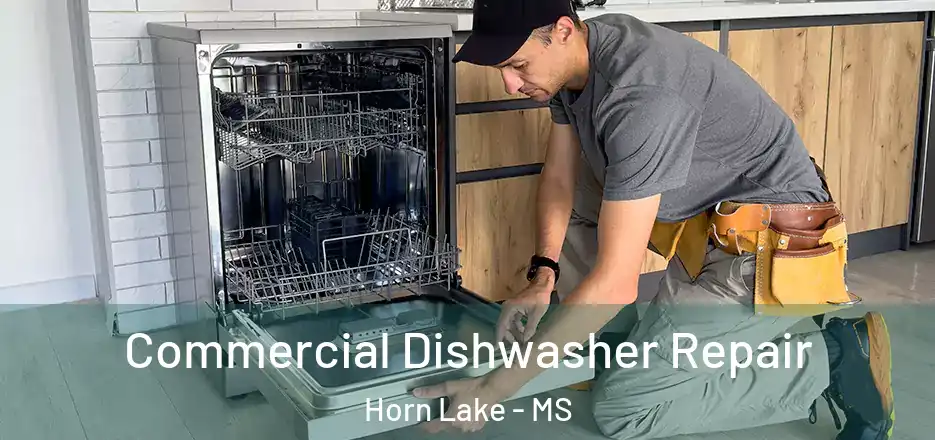 Commercial Dishwasher Repair Horn Lake - MS