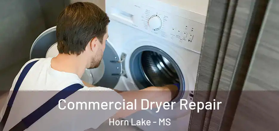Commercial Dryer Repair Horn Lake - MS