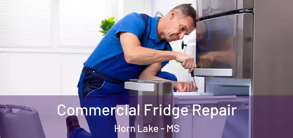 Commercial Fridge Repair Horn Lake - MS