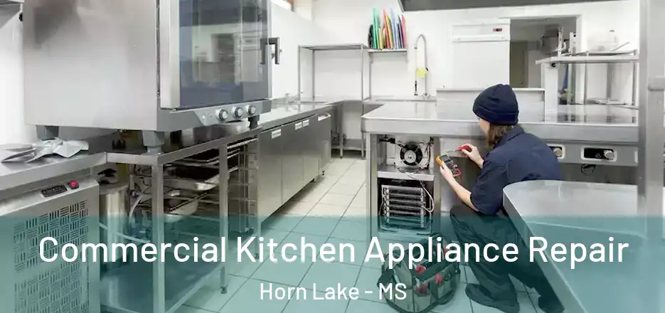 Commercial Kitchen Appliance Repair Horn Lake - MS