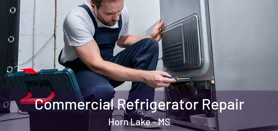 Commercial Refrigerator Repair Horn Lake - MS