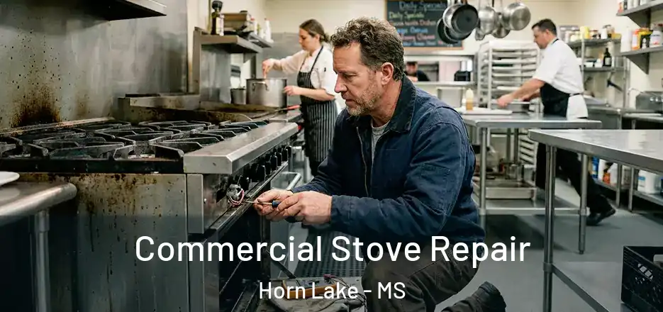 Commercial Stove Repair Horn Lake - MS