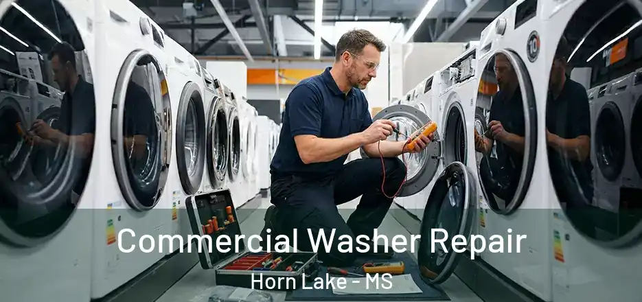 Commercial Washer Repair Horn Lake - MS