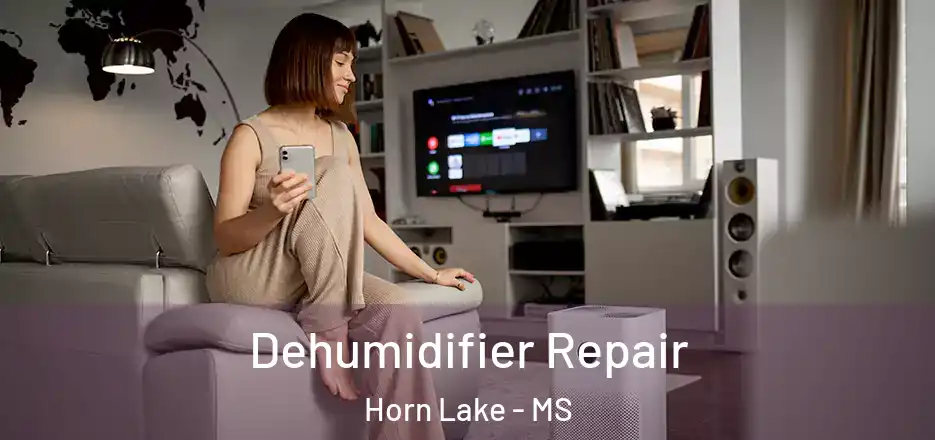 Dehumidifier Repair Horn Lake - MS