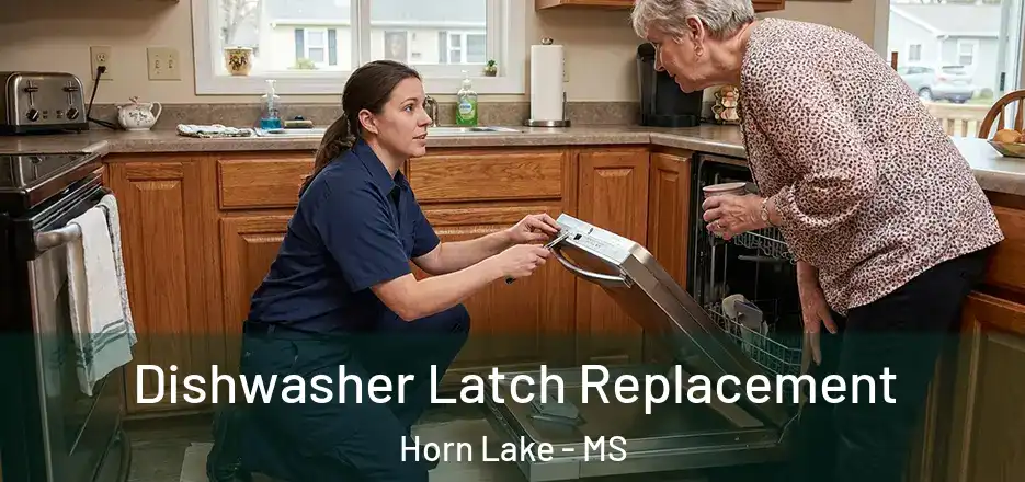 Dishwasher Latch Replacement Horn Lake - MS