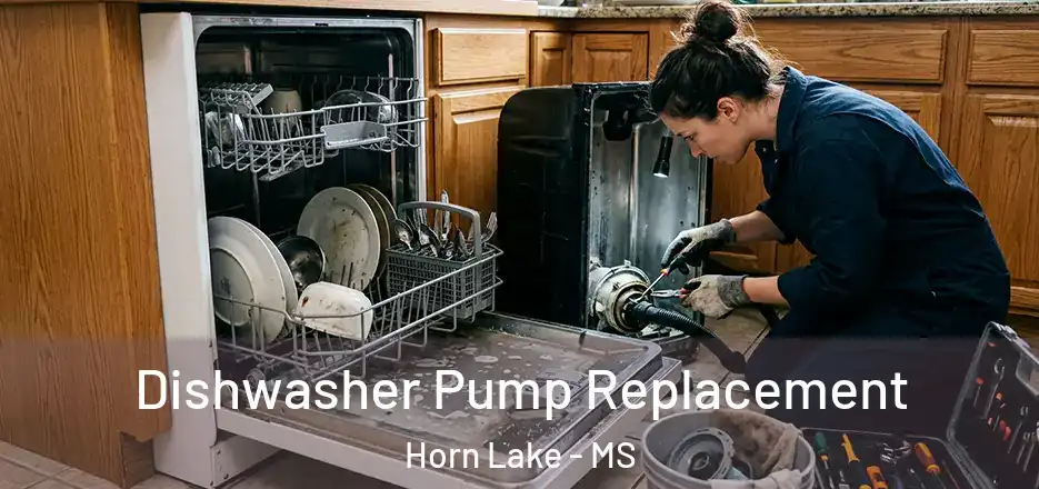 Dishwasher Pump Replacement Horn Lake - MS