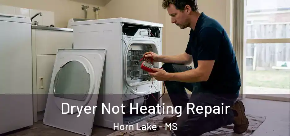 Dryer Not Heating Repair Horn Lake - MS