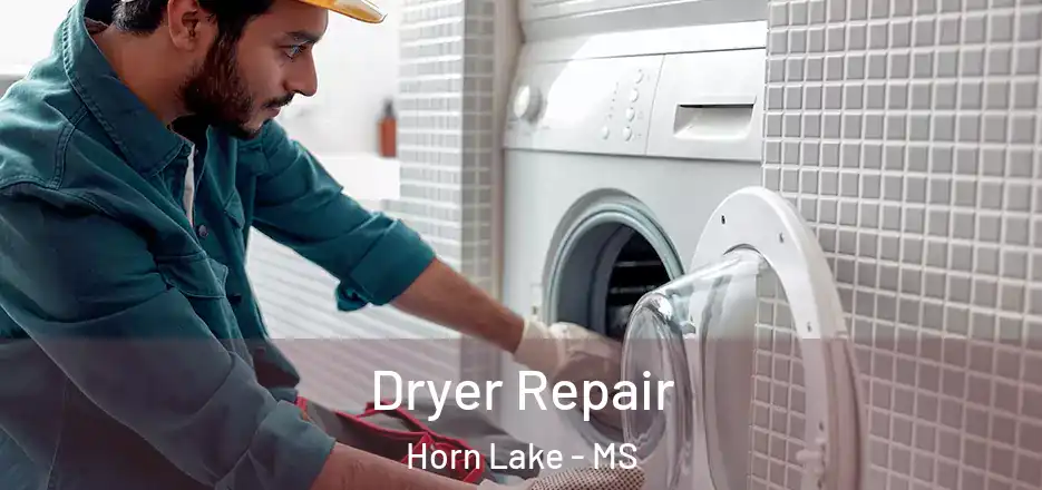 Dryer Repair Horn Lake - MS