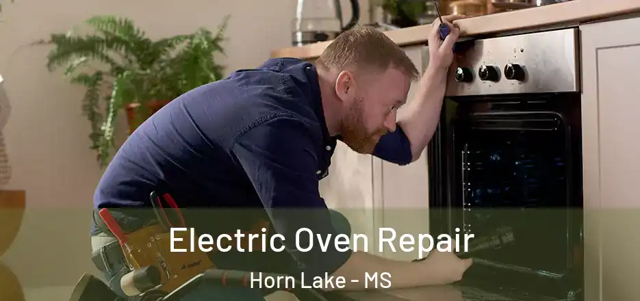 Electric Oven Repair Horn Lake - MS