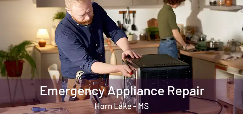 Emergency Appliance Repair Horn Lake - MS