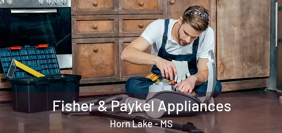 Fisher & Paykel Appliances Horn Lake - MS