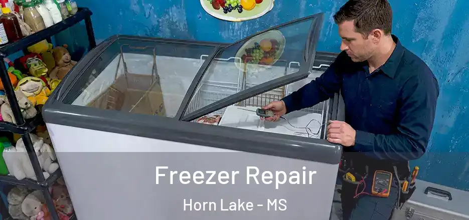 Freezer Repair Horn Lake - MS