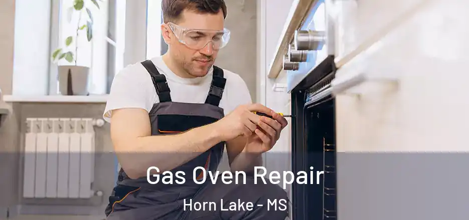 Gas Oven Repair Horn Lake - MS