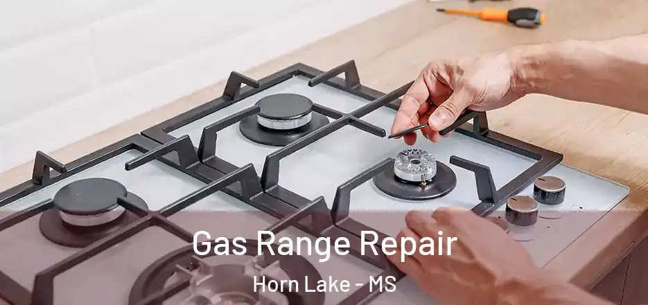 Gas Range Repair Horn Lake - MS