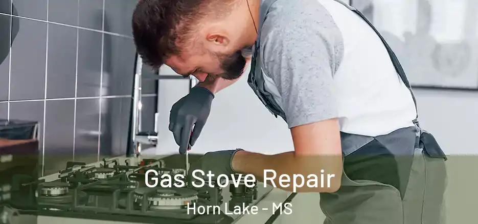 Gas Stove Repair Horn Lake - MS