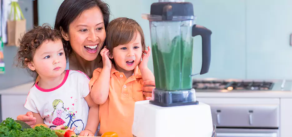 Juicer and Mixer Blender Repair in Horn Lake