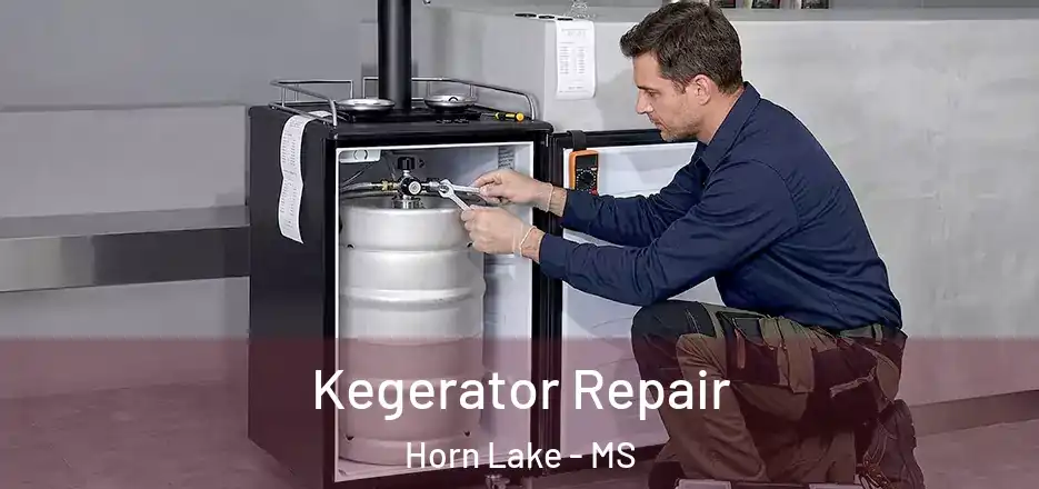 Kegerator Repair Horn Lake - MS
