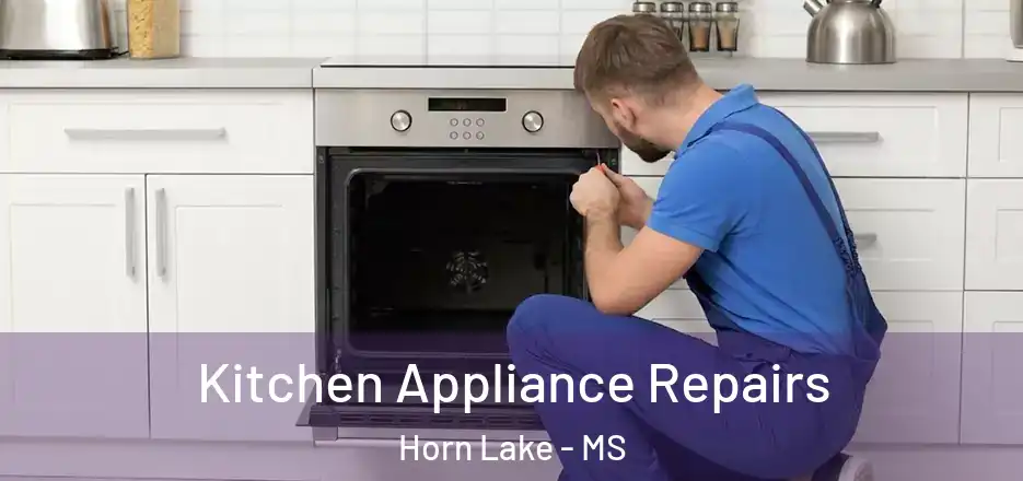 Kitchen Appliance Repairs Horn Lake - MS