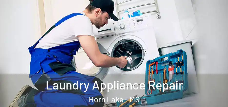 Laundry Appliance Repair Horn Lake - MS