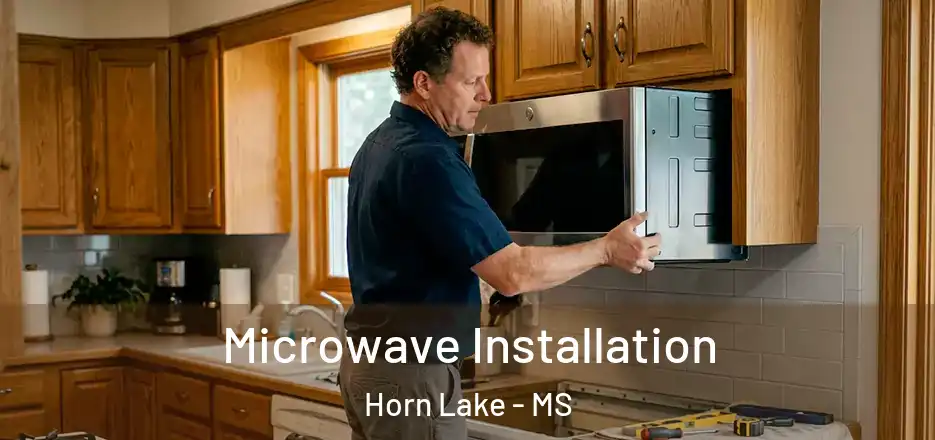 Microwave Installation Horn Lake - MS
