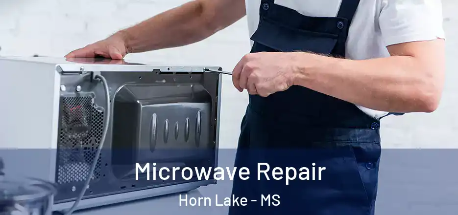 Microwave Repair Horn Lake - MS