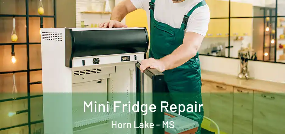 Mini Fridge Repair Horn Lake - MS