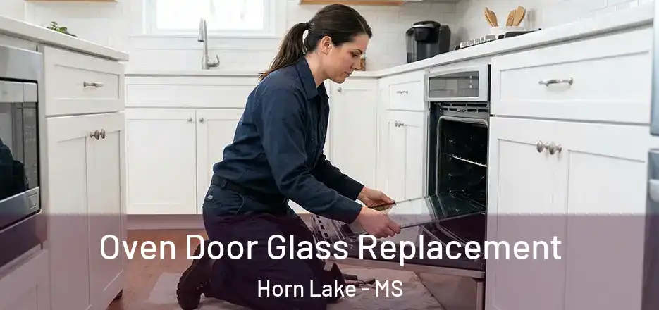 Oven Door Glass Replacement Horn Lake - MS