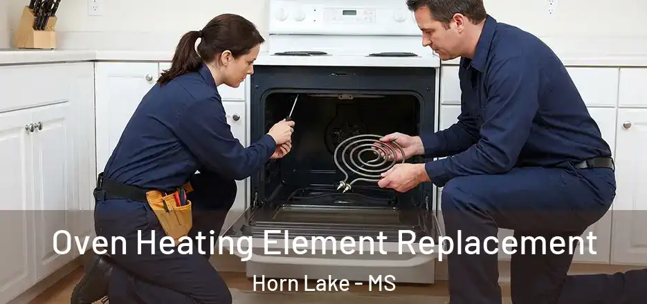 Oven Heating Element Replacement Horn Lake - MS