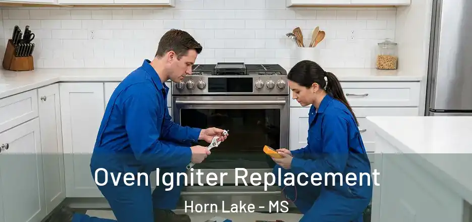 Oven Igniter Replacement Horn Lake - MS