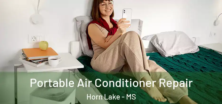 Portable Air Conditioner Repair Horn Lake - MS