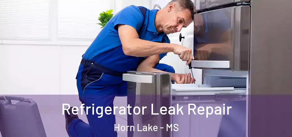 Refrigerator Leak Repair Horn Lake - MS