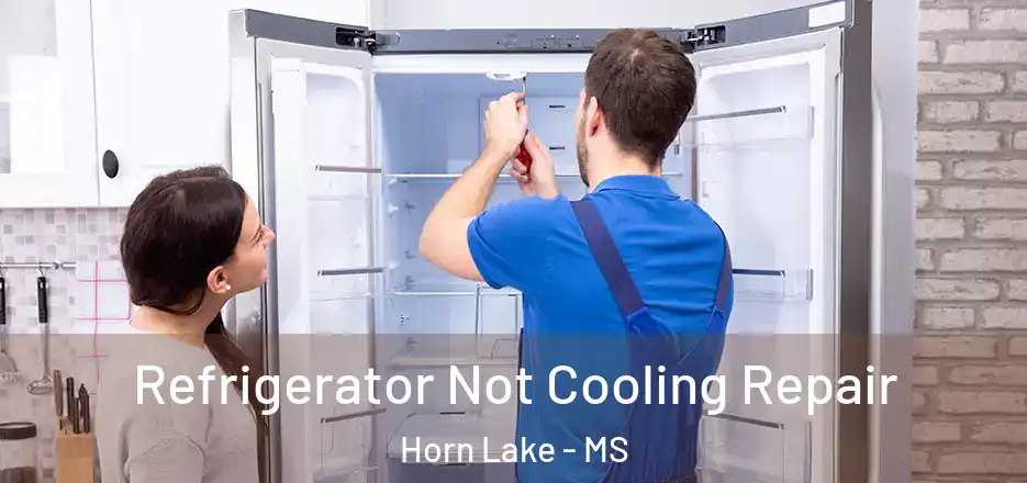 Refrigerator Not Cooling Repair Horn Lake - MS
