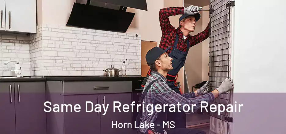 Same Day Refrigerator Repair Horn Lake - MS