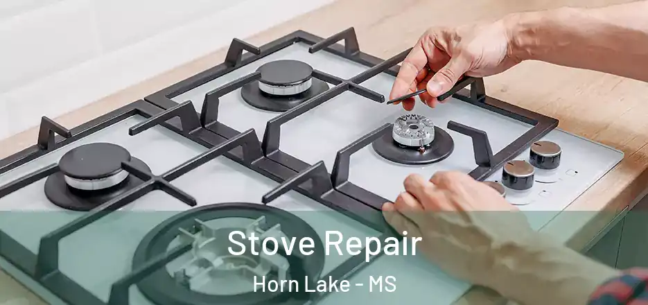 Stove Repair Horn Lake - MS