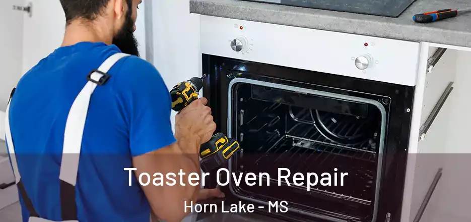 Toaster Oven Repair Horn Lake - MS