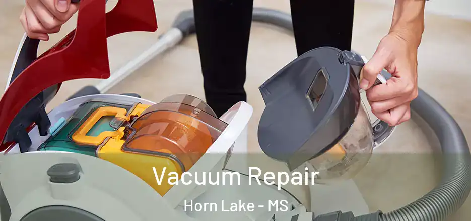 Vacuum Repair Horn Lake - MS