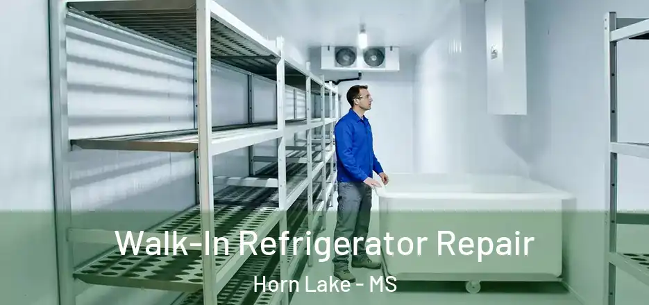 Walk-In Refrigerator Repair Horn Lake - MS