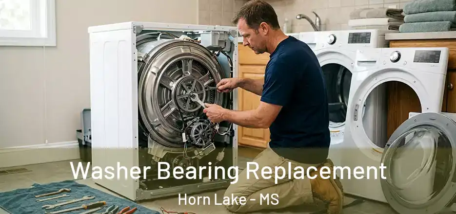 Washer Bearing Replacement Horn Lake - MS
