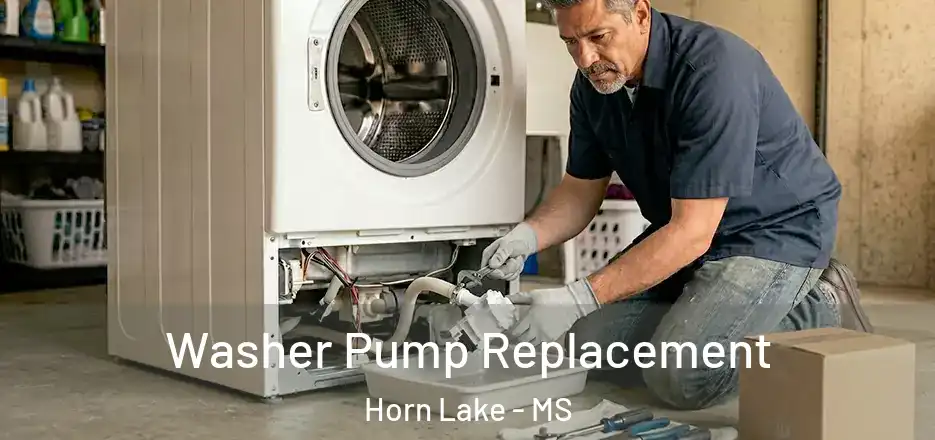 Washer Pump Replacement Horn Lake - MS