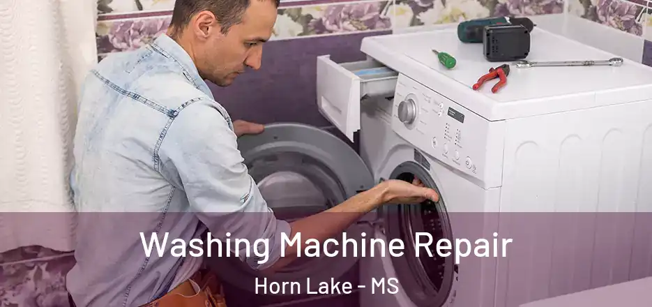 Washing Machine Repair Horn Lake - MS